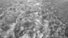 157-39.jpg