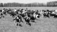 157-04.jpg