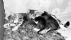 159-32.jpg