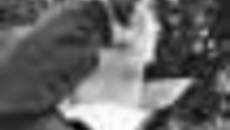 159-24.jpg