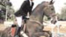 159-05.jpg