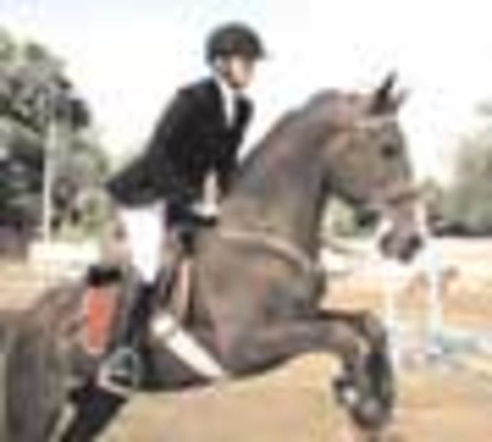 159-05.jpg