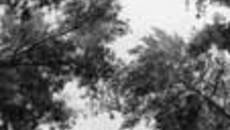 162-23.jpg