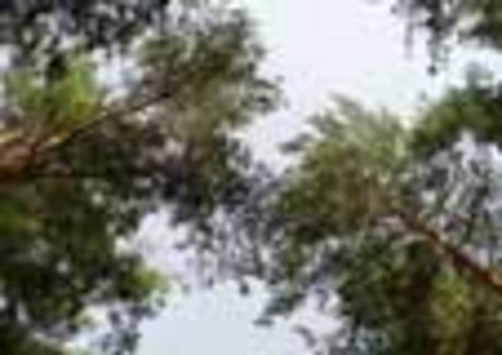 162-23.jpg