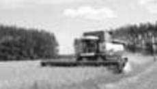 162-16.jpg