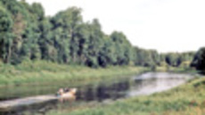 164-12.jpg