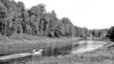 164-12.jpg
