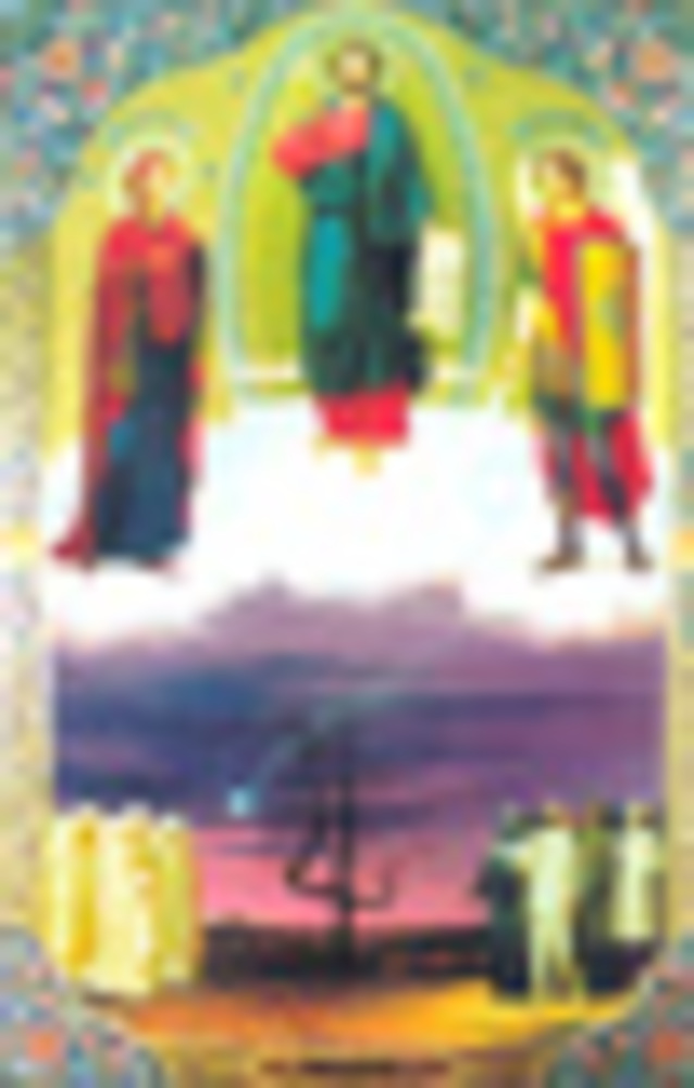 169-48.jpg