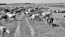 170-14.jpg