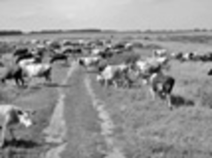 170-14.jpg