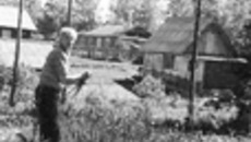 174-06.jpg