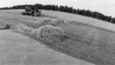 177-46.jpg