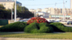 179-19.jpg
