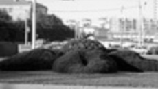 179-19.jpg