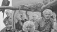 182-16.jpg