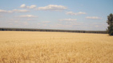 182-36.jpg