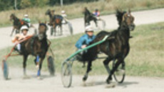 182-43.jpg