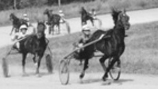 182-43.jpg