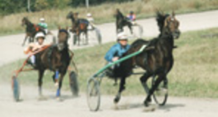 182-43.jpg