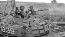 184-29.jpg