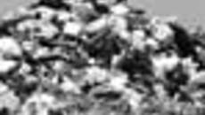 191-15.jpg
