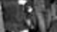 192-32.jpg
