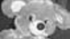 194-39.jpg