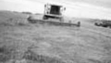 194-14.jpg