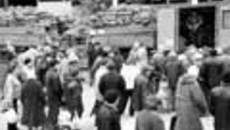 197-59.jpg