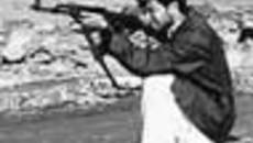 198-10.jpg