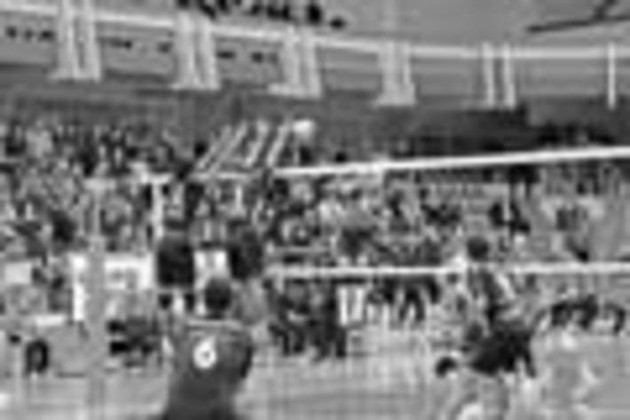 222-17.jpg