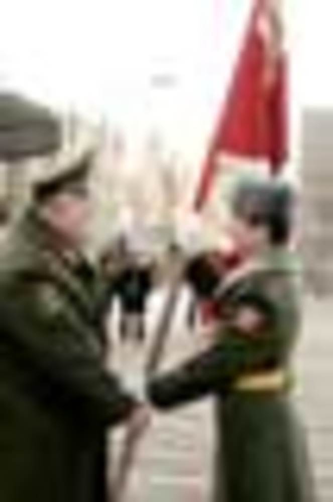233-03.jpg