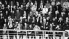 234-20.jpg