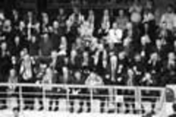 234-20.jpg
