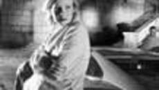 236-19.jpg