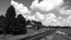 237-16.jpg
