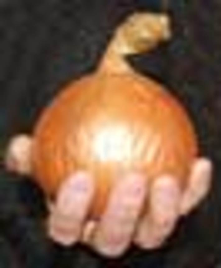 241-53.jpg