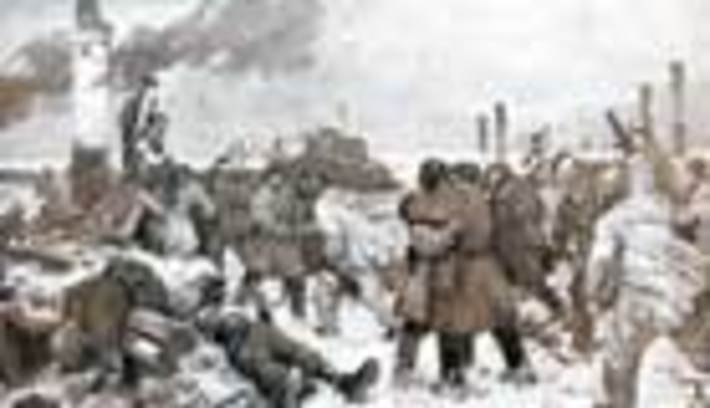 241-50.jpg