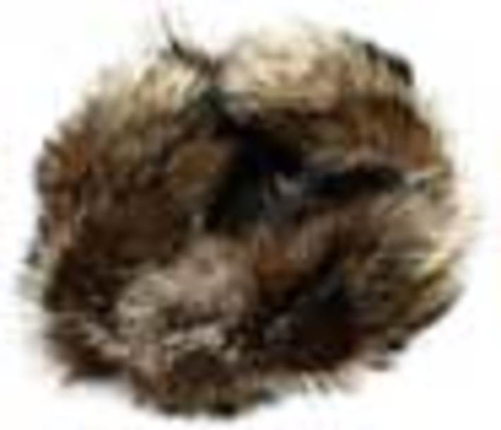 241-40.jpg
