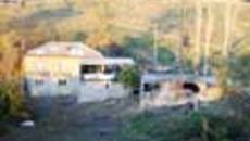241-36.jpg