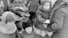 246-57.jpg