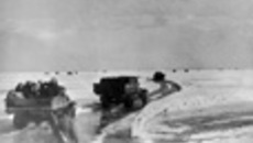 249-08.jpg