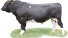 254-31.jpg