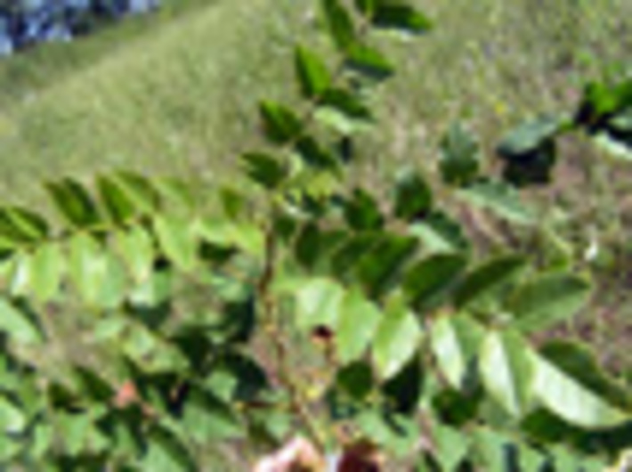 005-38.jpg