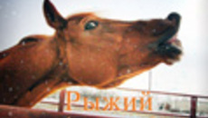 005-34.jpg