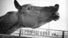 005-34.jpg