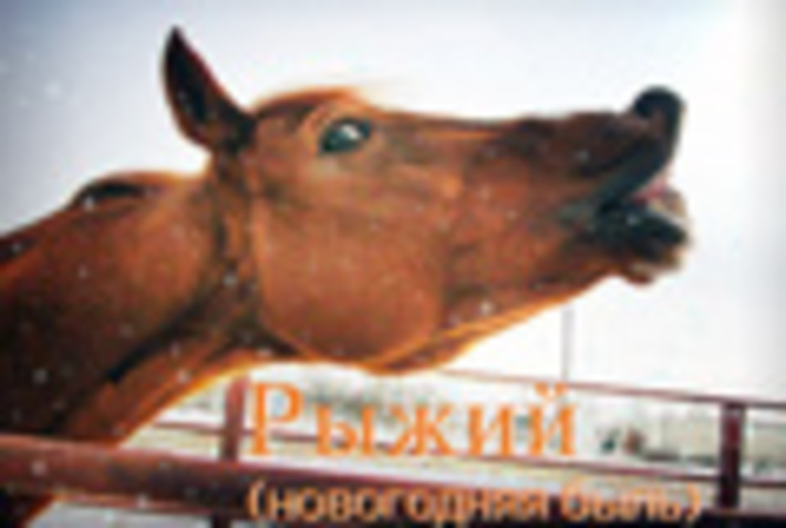 005-34.jpg