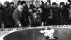 009-03.jpg