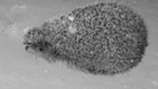 015-68.jpg