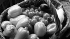 015-66.jpg